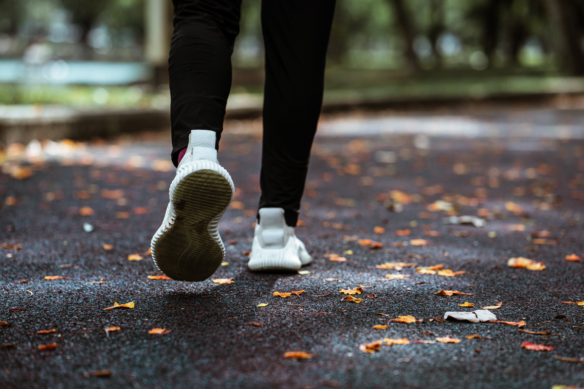Optimizing Cardiovascular Health through Lifestyle Choices