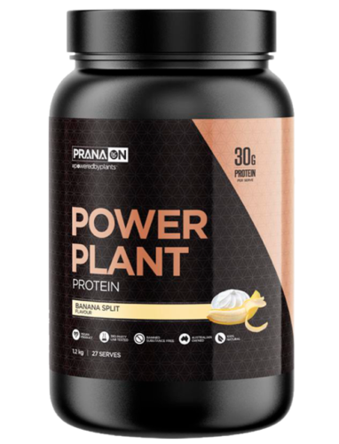 Plant-Based Protein