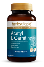 HG ACETYL L-CARNITINE