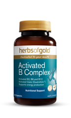 HG ACTIVATED B COMPLEX