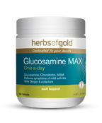 HG GLUCOSAMINE MAX