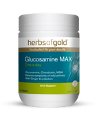HG GLUCOSAMINE MAX