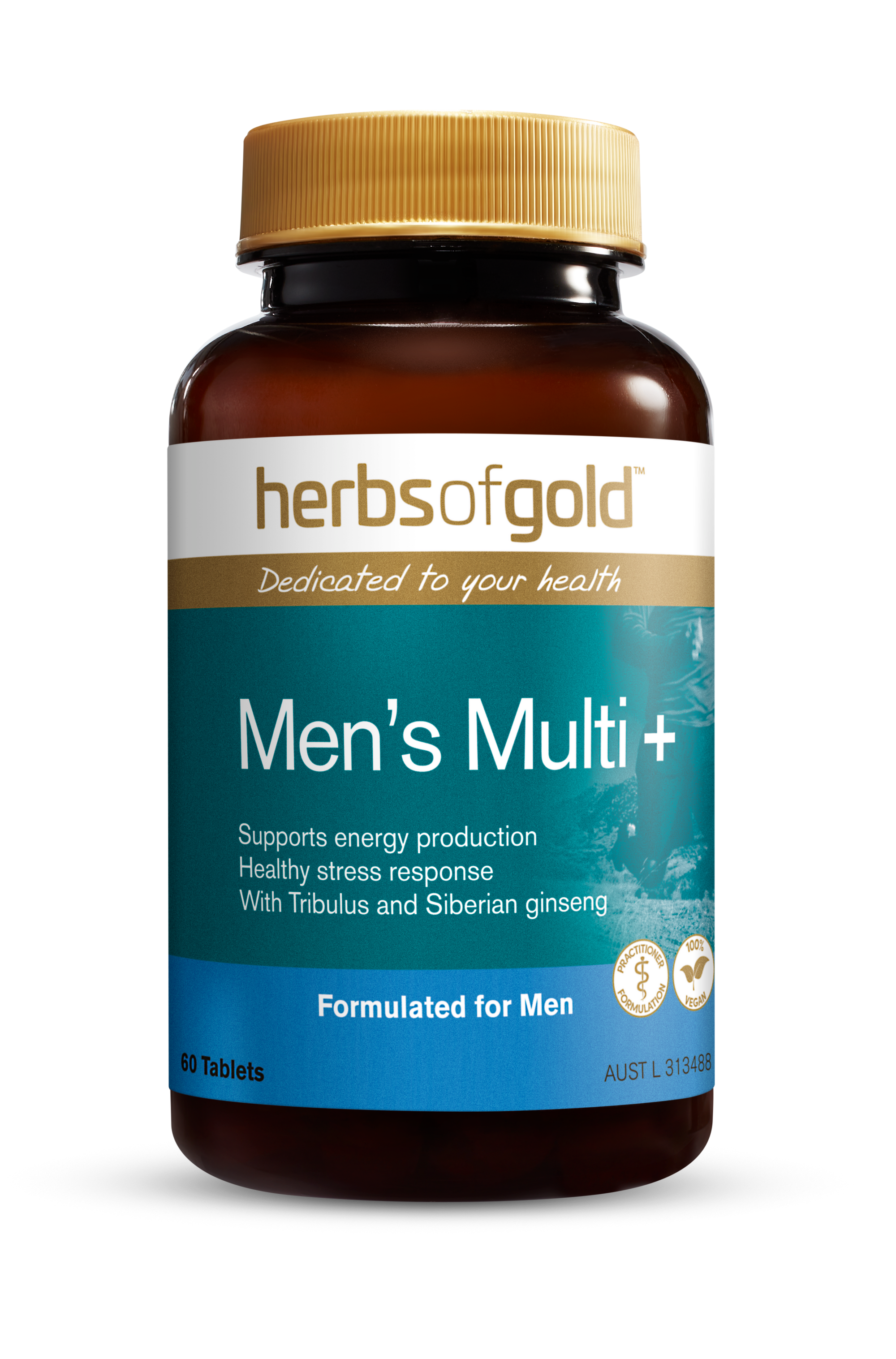 HG MENS MULTI PLUS