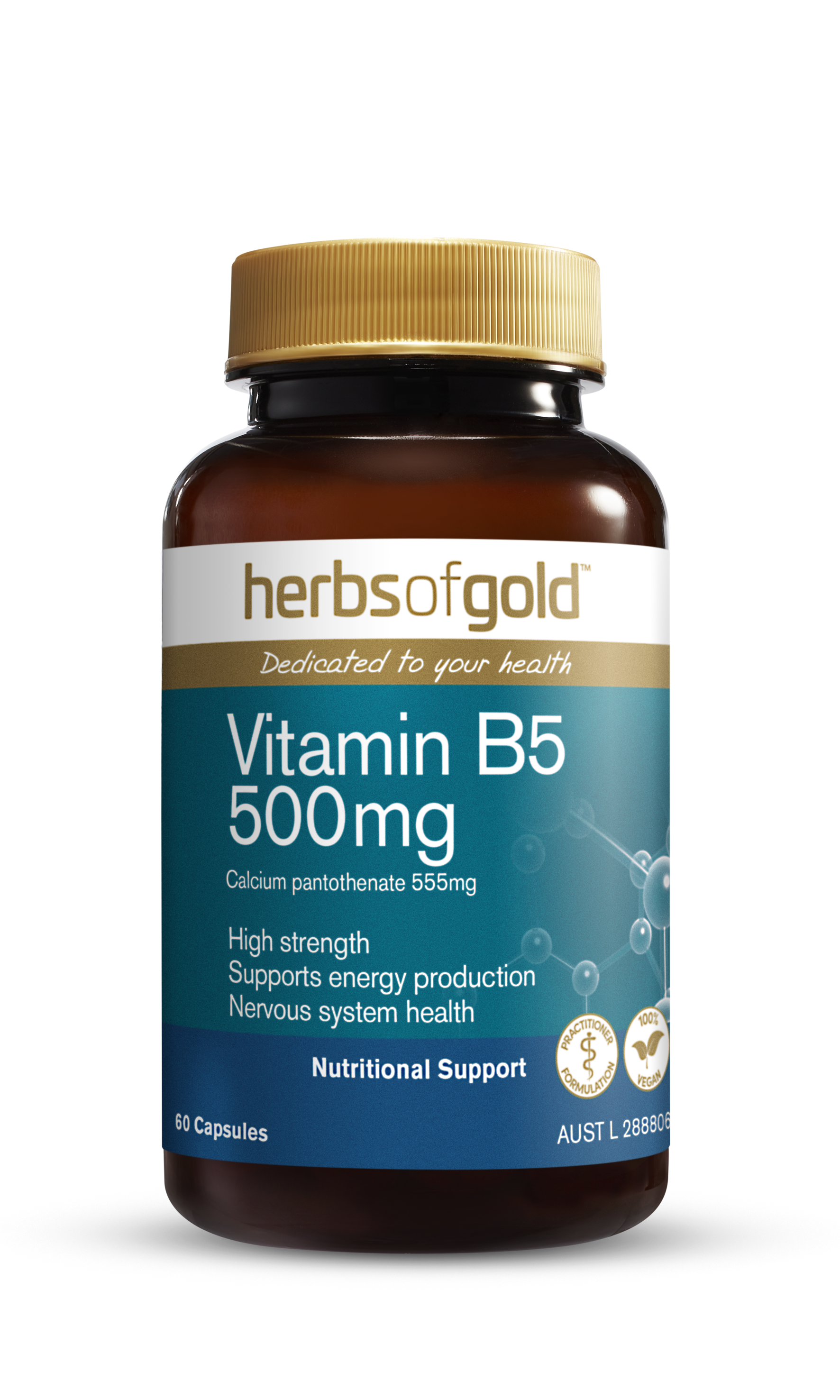 HG VITAMIN B5 500MG